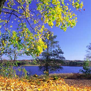Jezioro Lutry, jesień, warm-maz
