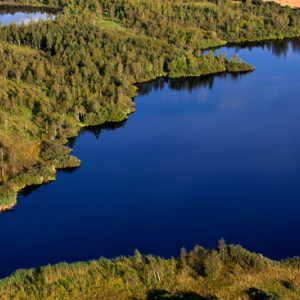 Bagna w okolicy Nidzicy. EU, Pl, warm-maz. Lotnicze.