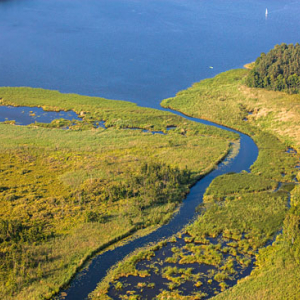 Ujscie rzeki Netty do jeziora Sajno. EU, PL, Podlaskie. Lotnicze.