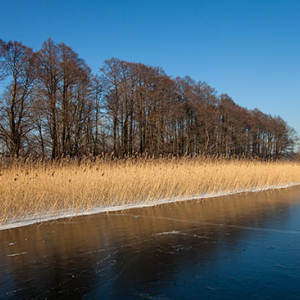 Jezioro Kisajno pokryte lodem. EU, PL, Warm-Maz.