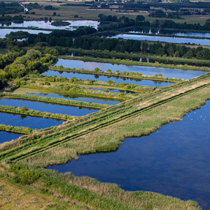 Stawy w Myslakowie. EU, PL, Lodzkie. Lotnicze.