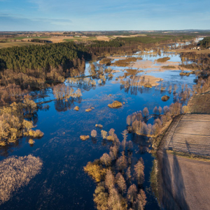 Brodnicki PK, wiosenne rozlewiska rzeki Drwecy, okolica Nowego Dworu. EU, PL, Kujawsko - Pomorskie. Lotnicze