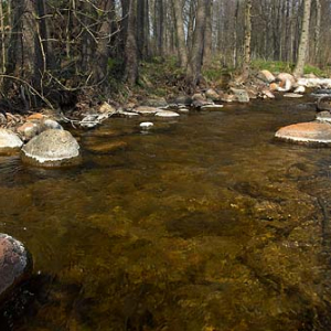 _W060371 Suwalski Park Krajobrazowy. Czarna Hańcza, początkowy bieg rzeki
