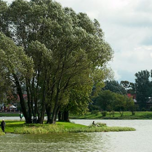 Jezioro w Suwałkach