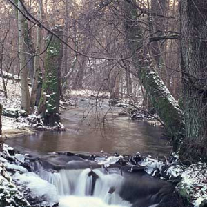rzeki rzeka dia 135 polska europa dia pion m011250 lubelszczyzna lubelskie woda zima tanew kaskada rzeka roztoczanski park narodowy szumy na tanwi  26
