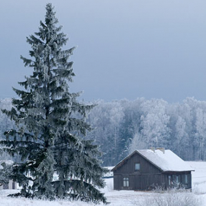 PL, Warm-Maz, Park Krajobrazowy Puszczy Romnickiej.