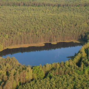 Lotnicze, Pl, warm-maz. Mazurski Park Krajobrazowy. Rezerwat Krolewska Sosna.