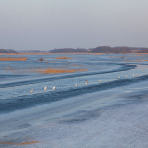 Pl, Podlaskie. Biebrzanski Park Narodowy.