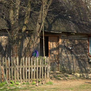 _W060293 Suwalski Park Krajobrazowy. Drewniana zabudowa we wsi Ługiele