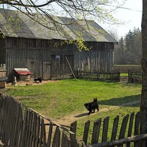 _W060304 Suwalski Park Krajobrazowy. Drewniana zabudowa we wsi Dzierwany