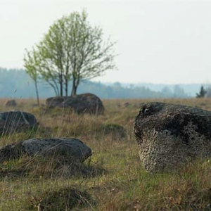 _W060379 Rezerwat Rutka. Suwalski Park Krajobrazowy.