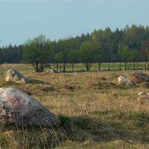 _W060380 Rezerwat Rutka. Suwalski Park Krajobrazowy.