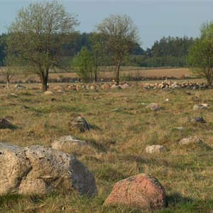 _W060381 Rezerwat Rutka. Suwalski Park Krajobrazowy.