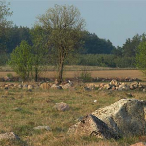 _W060382 Rezerwat Rutka. Suwalski Park Krajobrazowy.