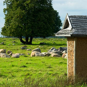 Gliniane kryjówki dla owadów w rezerwacie Rudka
