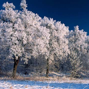 Zima, warmia-mazury