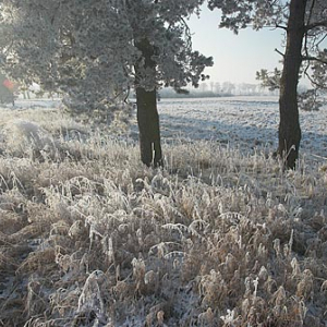 Warm-Maz. Zima - szadz, szron.
