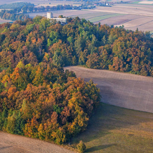 Jura Krakowsko - Czestochowska, Park Krajobrazowy Orlich Gniazd, panorama na Zamek Smolen. EU, Pl, Slaskie. LOTNICZE.