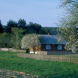 Guciów, wieś w lubelskiem