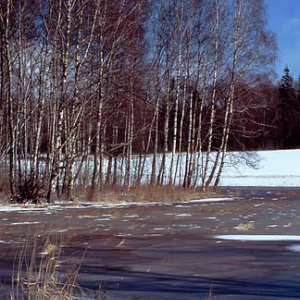zima snieg  pejzaz widok fot. Wojciech Wojcik dia 135 diapozytyw pion aura snieg zima zima m0401224  38