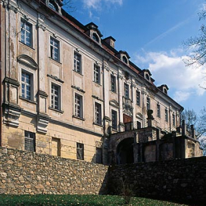 Pałac w Biedrzychowicach.