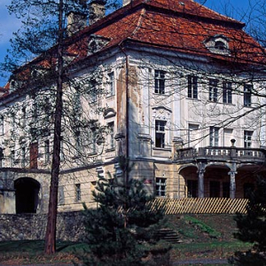 Pałac w Biedrzychowicach