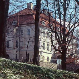 Biedrzychowice, pałac, dolnośląskie