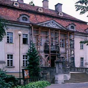 Pałac w Biedrzychowicach