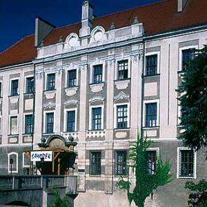 Głogów, zamek książąt piastowskich