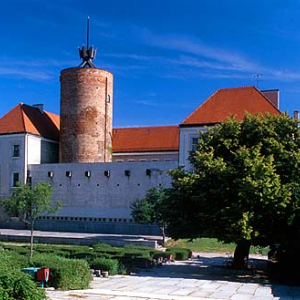 Głogów, zamek książąt piastowskich