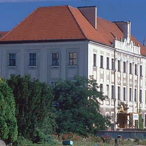 Głogów, zamek książąt piastowskich