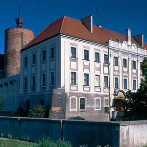 Głogów, zamek książąt piastowskich