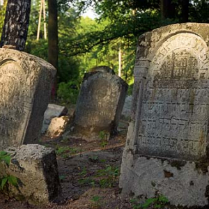 Macwy na cmentarzu żydowskim w Szczebrzeszynie