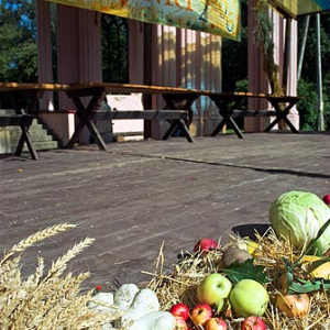 Plony przygotowane do obchodów dożynkowych