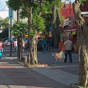 Pomorskie. Pomorskie. Hel ulica Wiejska.