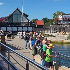 Pomorskie, Hel. Stacja Morska Instytutu Oceanografii Uniwersytetu Gdanskiego-Fokarium.
