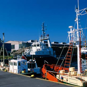 Port w Gdyni