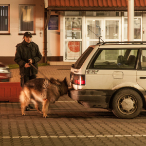 Gronowo, przejscie graniczne wlaczone do Malego Ruchu Granicznego. N/z pies do wyszukiwania ukrytych papierosow. EU, Pl, warm-maz.