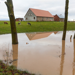 Lwowiec pow. bartoszycki. Intensywne, jesienne opady deszczu spowodowaly lokalne podtopienia poprzez wystapienie z koryta rz. Struga Mamlak.. EU, PL, warm-maz