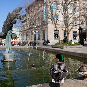 Karlskrona, fontana na Square of Klapeida. EU, Szwecja.