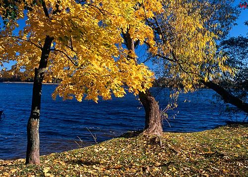 Jesień nad jeziorem czos, mrągowo