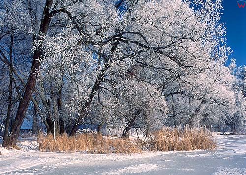 Zima, warmia-mazury