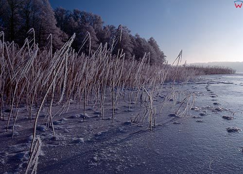 Jezioro Jamno, okolica Mrągowa.
