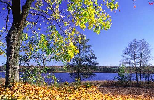 Jezioro Lutry, jesień, warm-maz