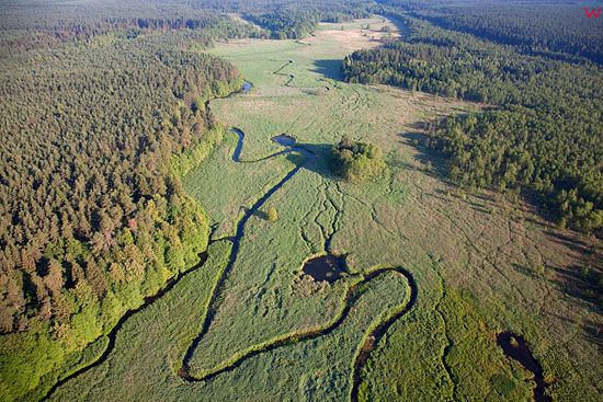Lotnicze, Pl, podlaskie. Dolina rzeki Rospudy.