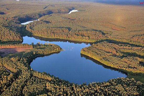 Lotnicze, EU, PL, Pomorskie. Park Narodowy Bory Tucholskie. Jezioro Plesno.
