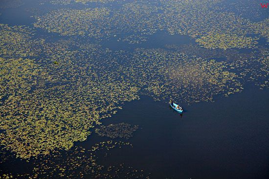 Lotnicze, EU, PL, warm-maz. Zulawy Wislane, jezioro Druzno.