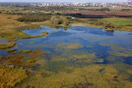 Lotnicze, EU, PL, warm-maz. Zulawy Wislane, jezioro Druzno, panorama na Elblag.