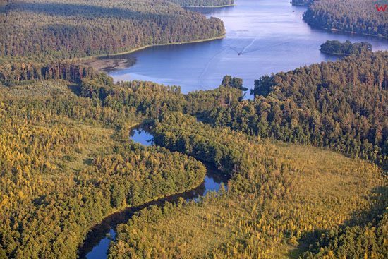 Ujscie rzeki Rospuda do jeziora Rospuda. EU, PL, Podlaskie. Lotnicze.