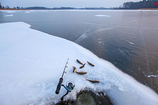 Jezioro Kinkajmskie, lowienie ryb spod lodu. EU, PL, Warm-Maz.
